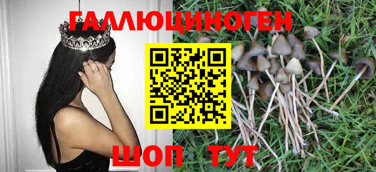 Галлюциногенные грибы Psilocybine cubensis  Вход с VPN  Нефтекамск 