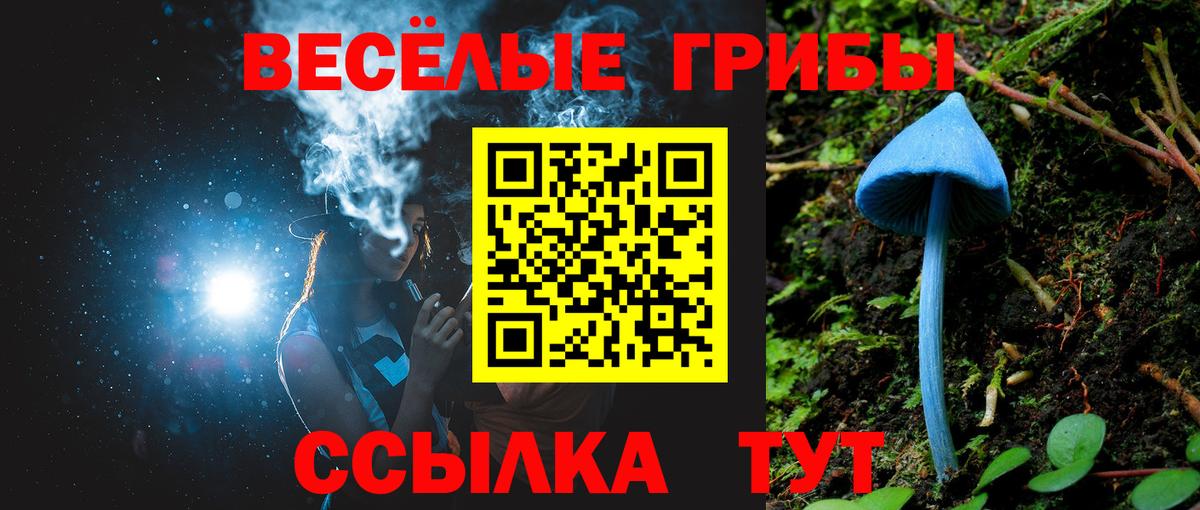 Псилоцибиновые грибы ЛСД Нефтекамск